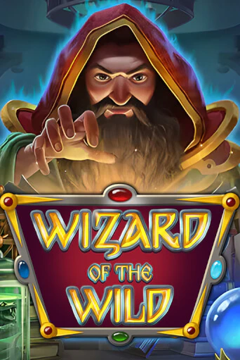 Wizard of the Wild в демо-режиме играть бесплатно | Азино777